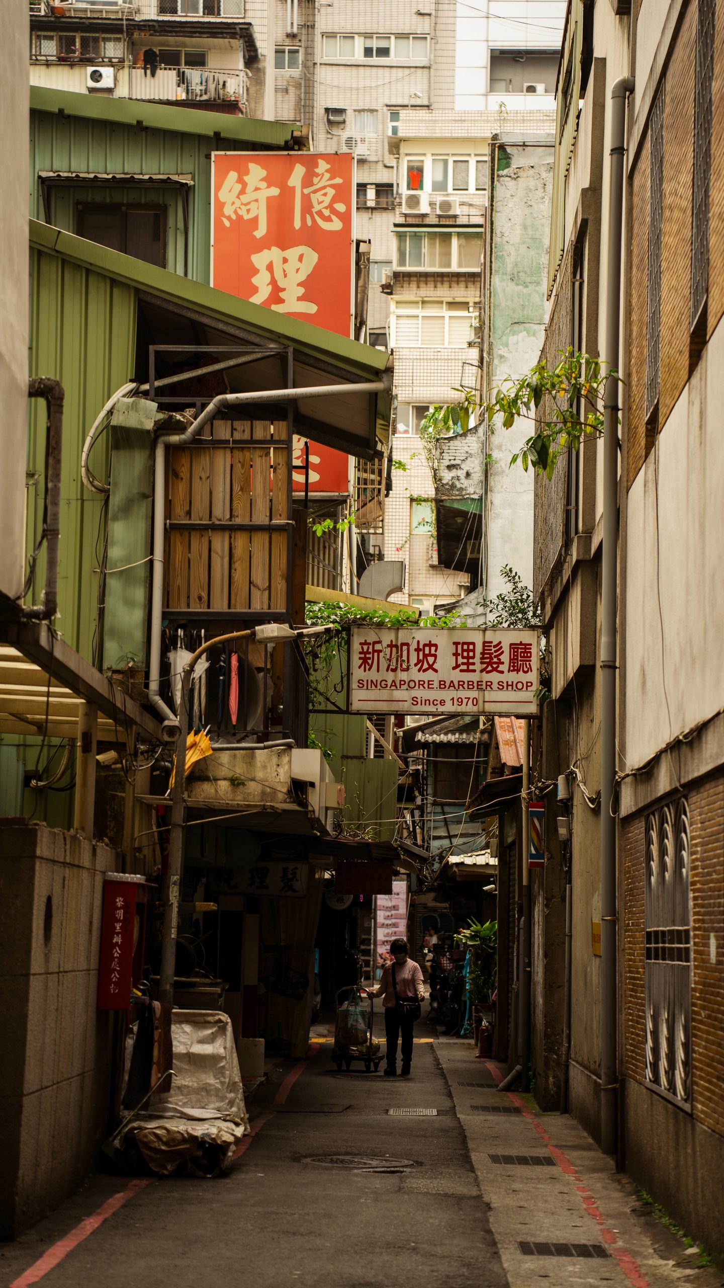DSC00533