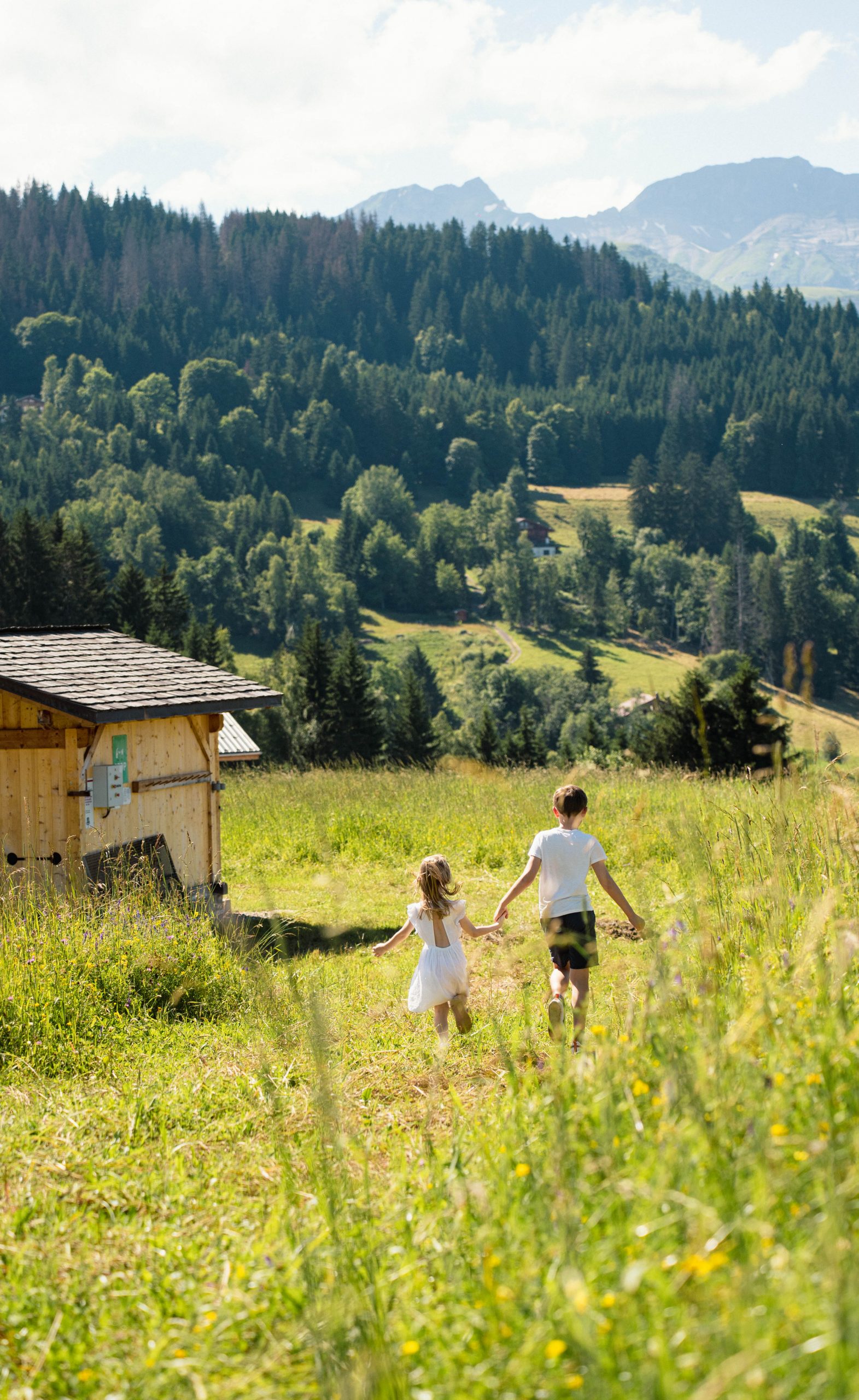 alpen été-06769